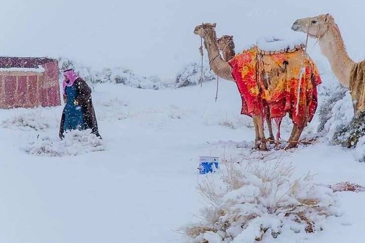 Asombrosas imágenes de la nevada en el desierto del Sahara