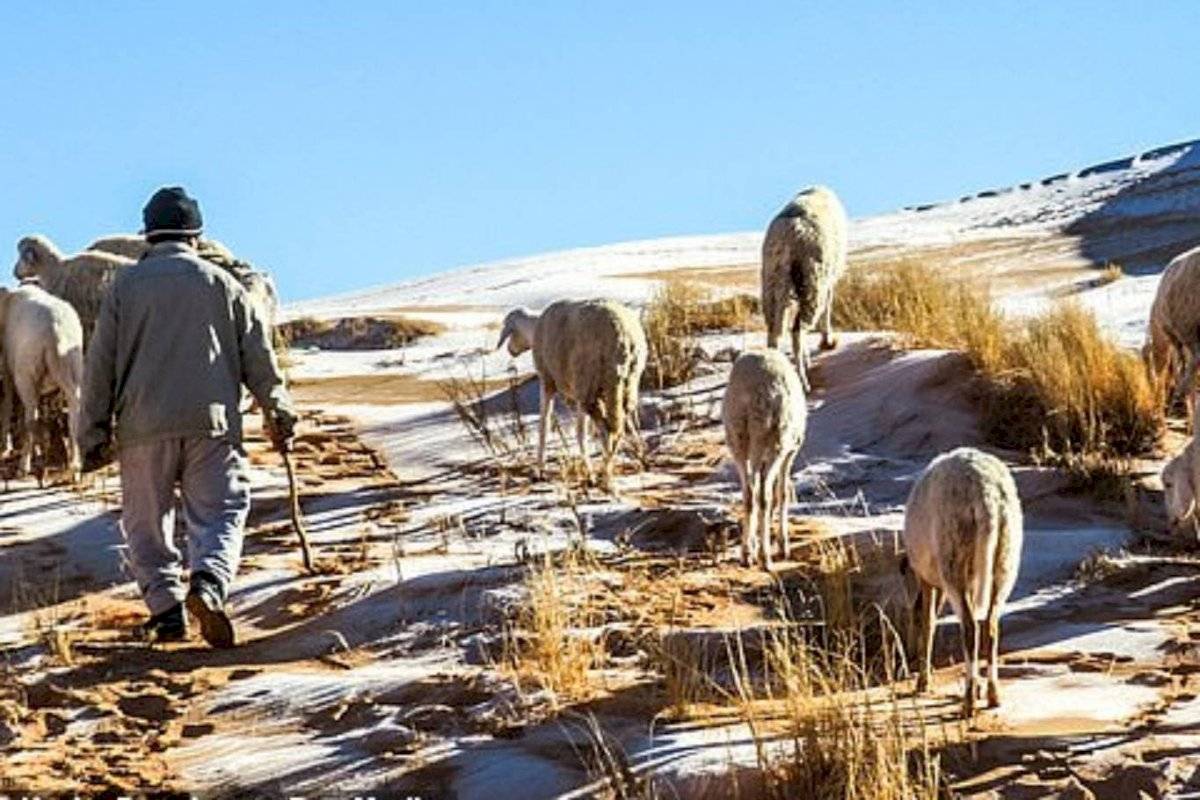 Asombrosas imágenes de la nevada en el desierto del Sahara