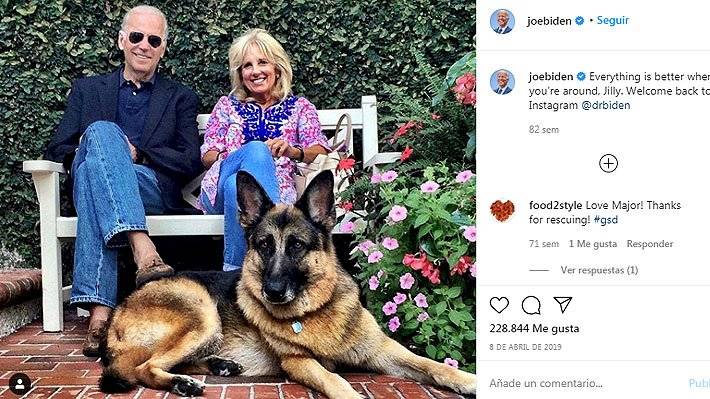 Champ y Major los amigos peludos de los Biden