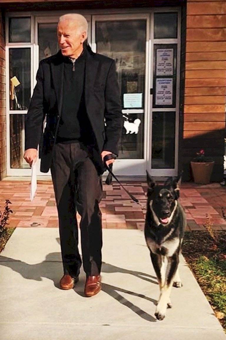 Joe Biden llega a la Casa Blanca con sus fieles mascotas