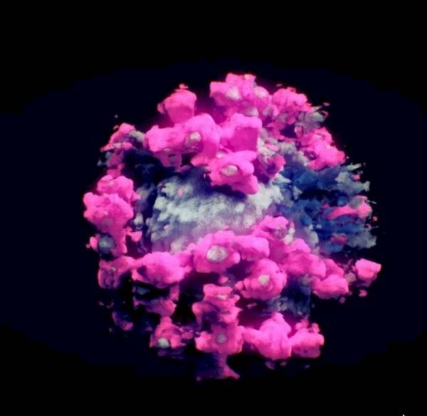 La primera imagen de la covid-19 en 3 dimensiones