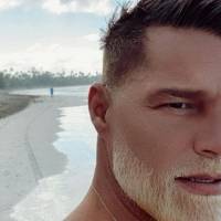 Nueva foto de Ricky Martin con la supuesta madre de sus hijos