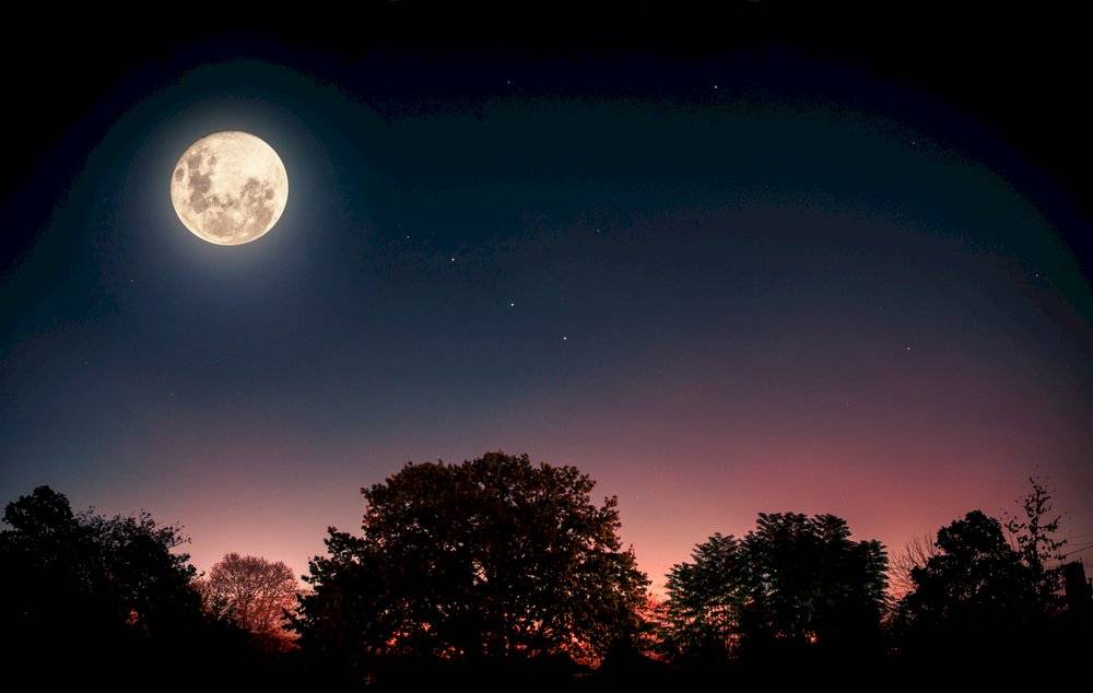 Luna llena de lobo
