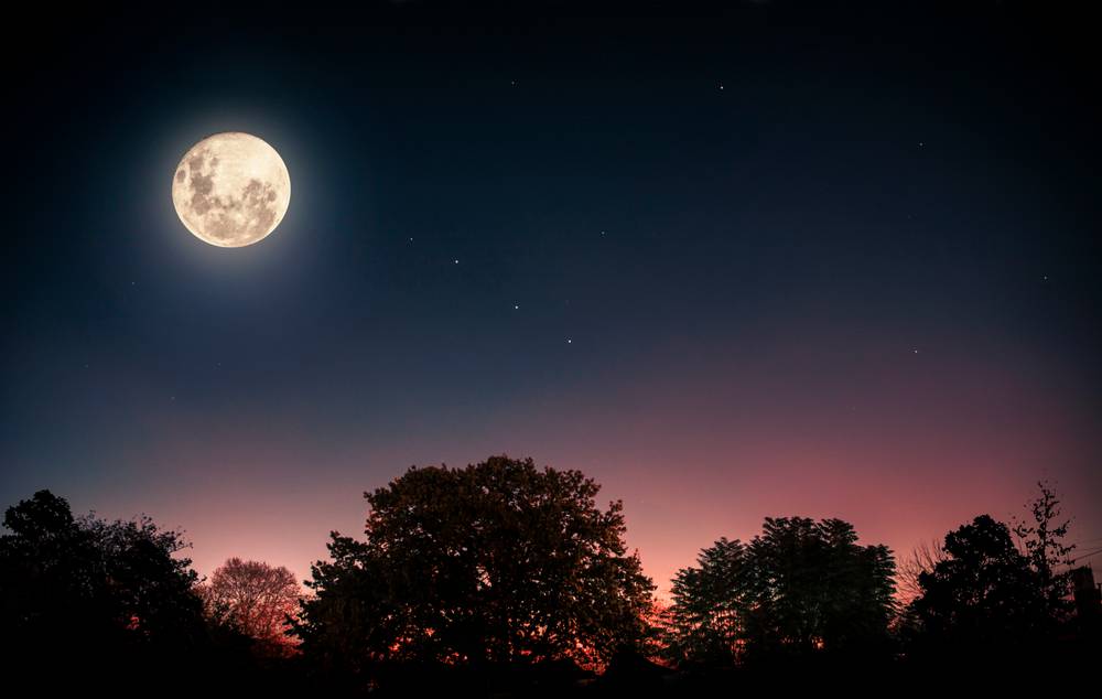 Luna llena de lobo