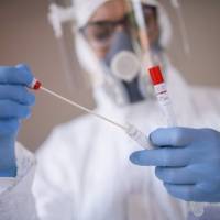 Prueba PCR obligatoria o test de antígeno negativo para ingresar a los EE.UU