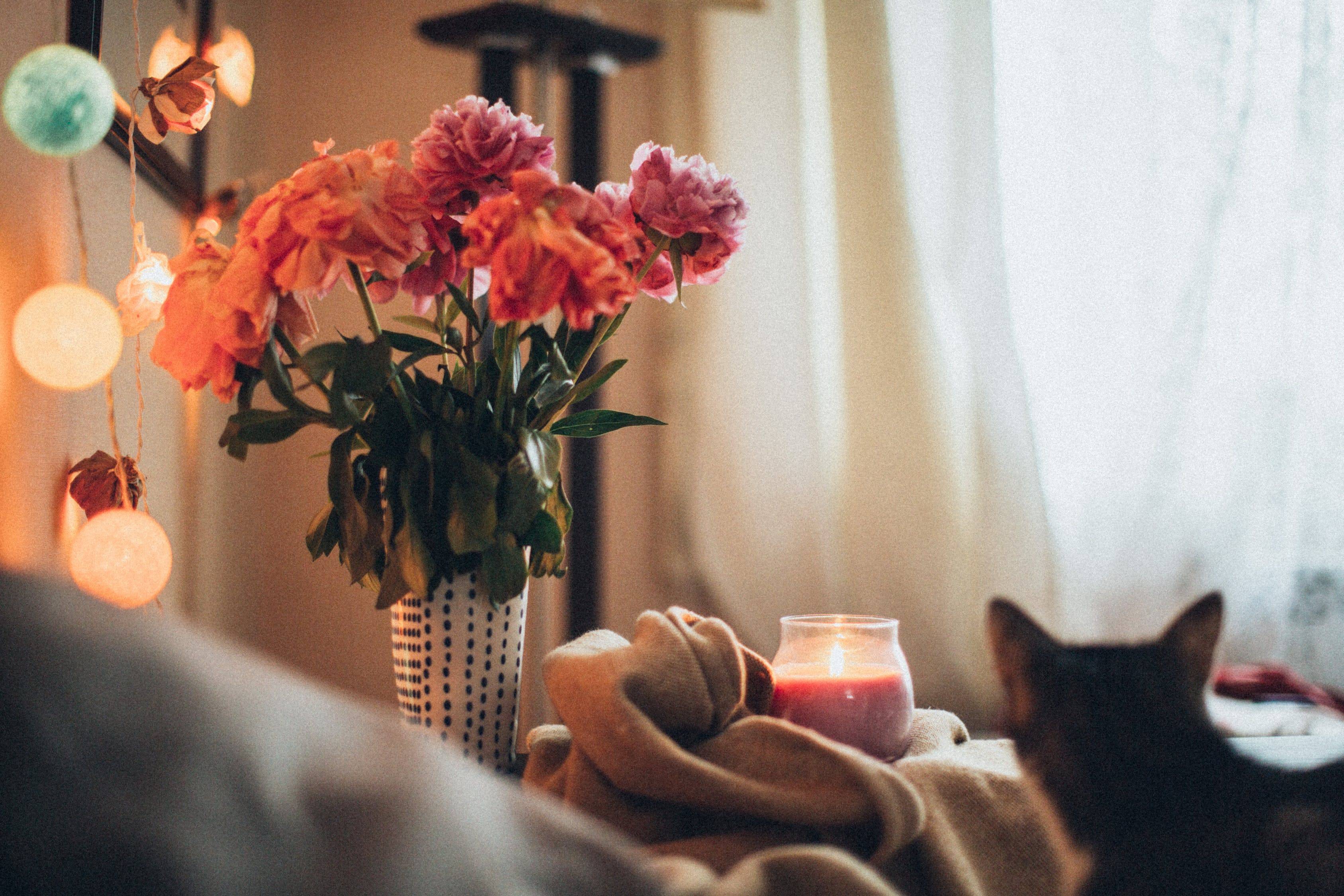 velas aromáticas velas aromáticas