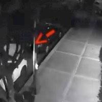 Exhiben a supuestos policías de la CDMX robando computadora de vehículo