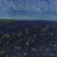 Imágenes aéreas muestran los daños provocados por incendio forestal en El Bolsón