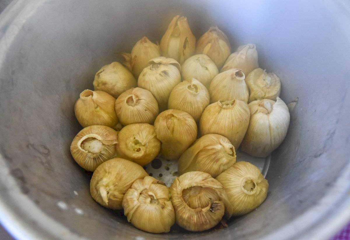 Tamales