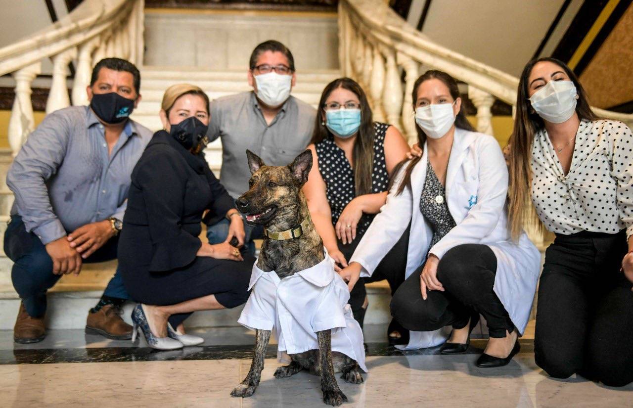 Zeus oficialmente forma parte de la familia del Municipio de Guayaquil