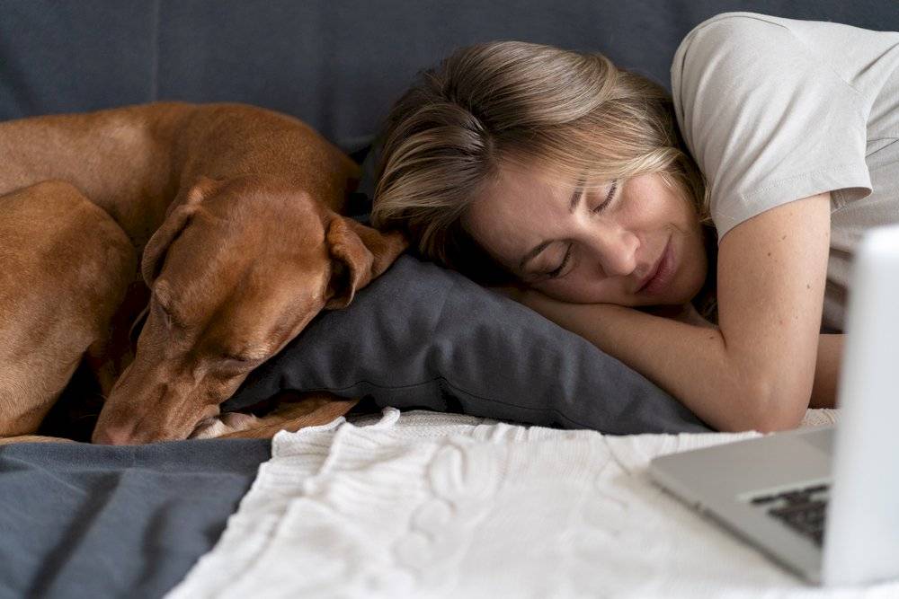 Teletrabajo siesta