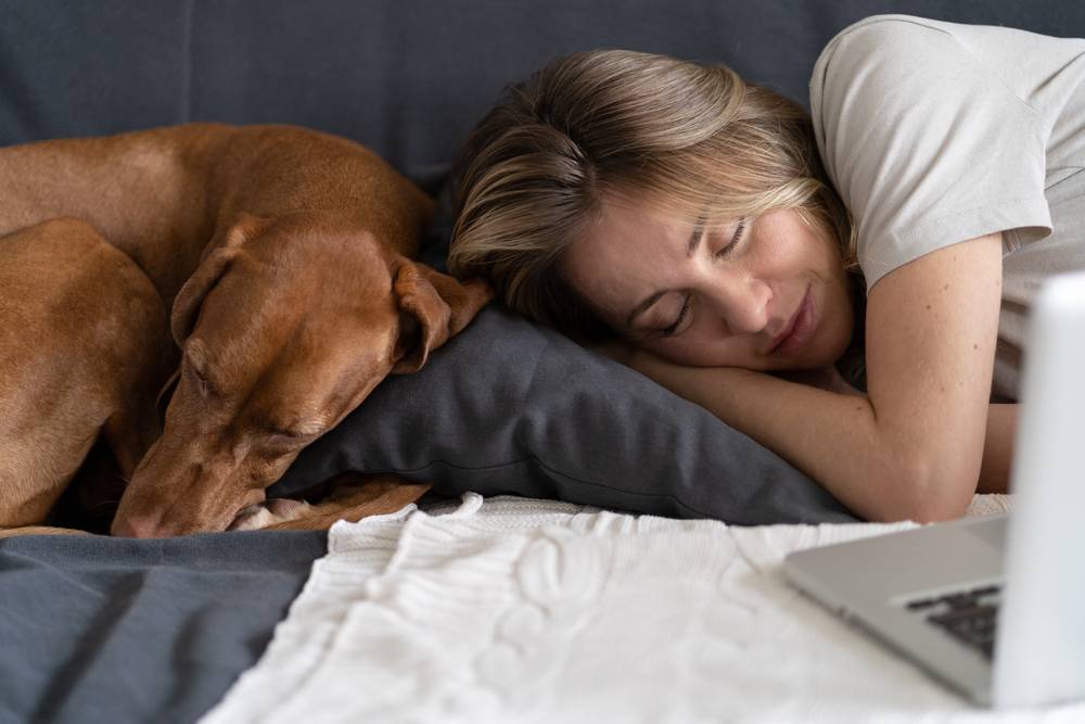 Teletrabajo siesta
