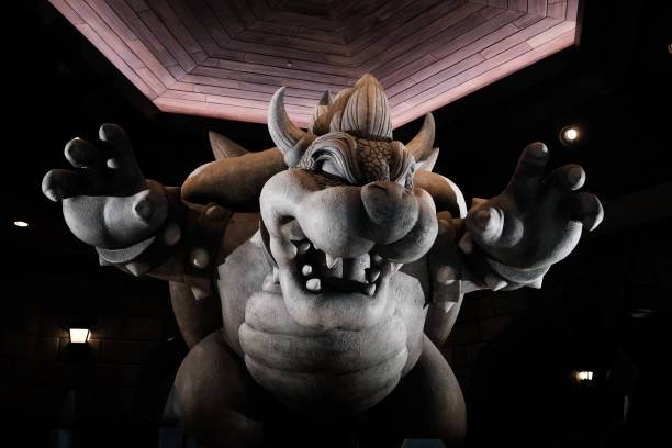 Koopa Koopa