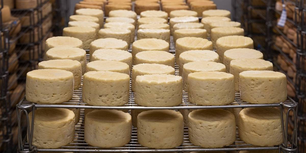 Tres beneficios de comer queso de forma regular