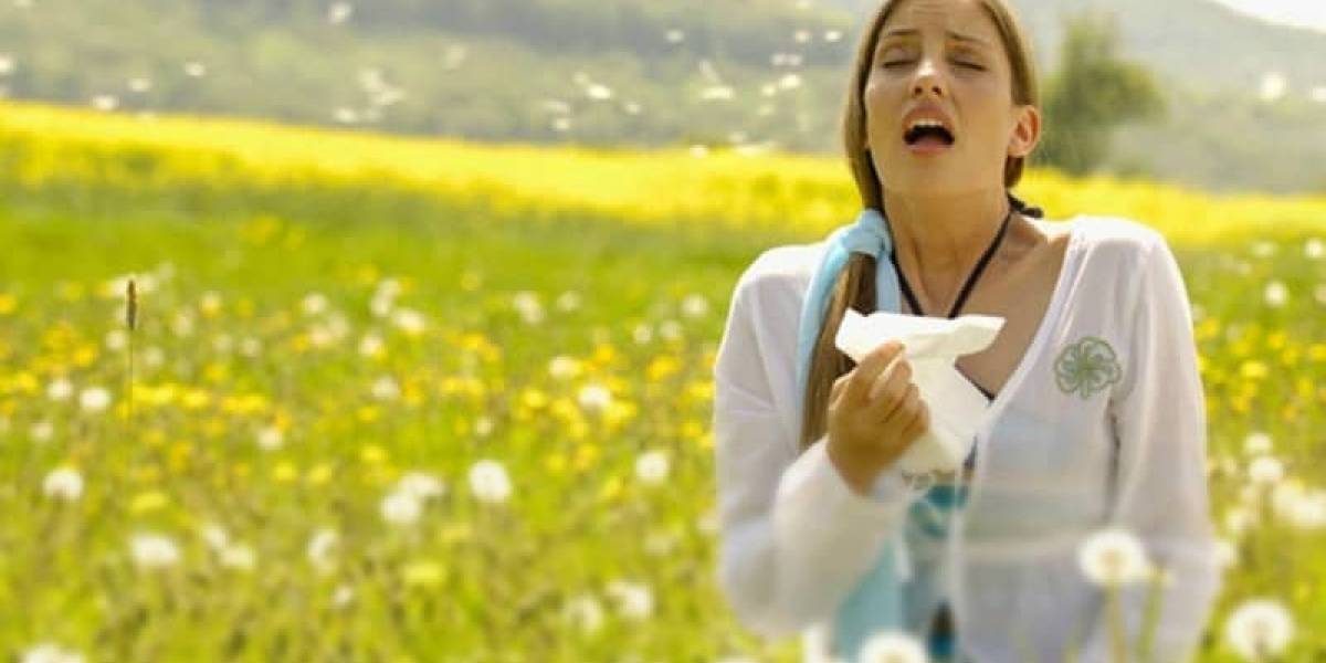 Atención alérgicos: el cambio climático alarga las temporadas de polen y afecta el sistema respiratorio, sugiere estudio