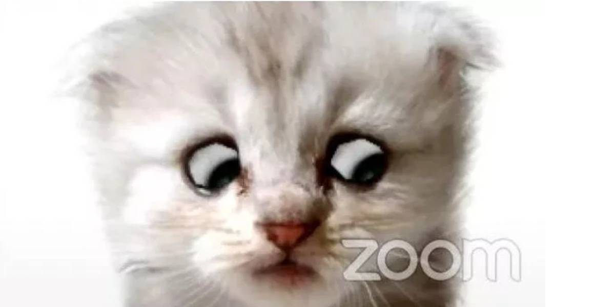 Zoom: así puedes usar el filtro de gatito que se hizo viral para videoconferencias