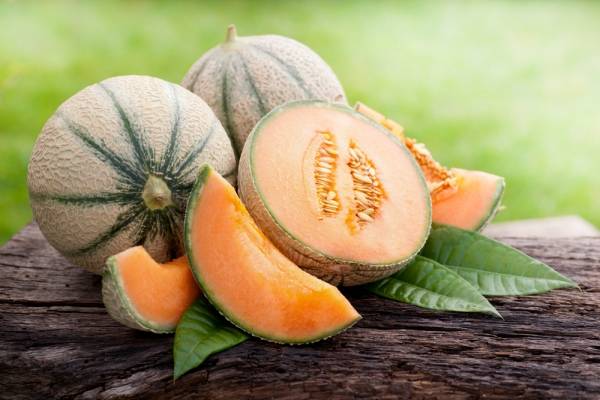 Melón