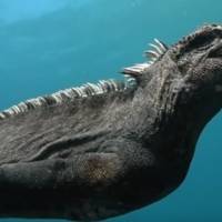 ¡Sí existe! Logran captar en fotografía a un “mini Godzilla”