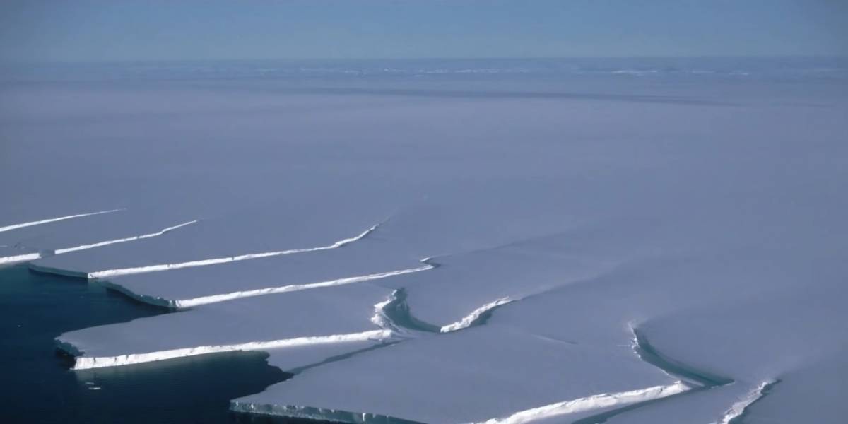 Científicos encuentran inexplicable forma de vida que se desarrolla a 800 metros de profundidad bajo el hielo polar