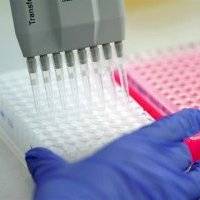 Reino Unido infectará a personas sanas para probar fármacos contra el Covid-19
