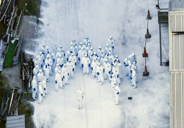 ! Rusia detecta primer caso de gripe aviar H5N8
