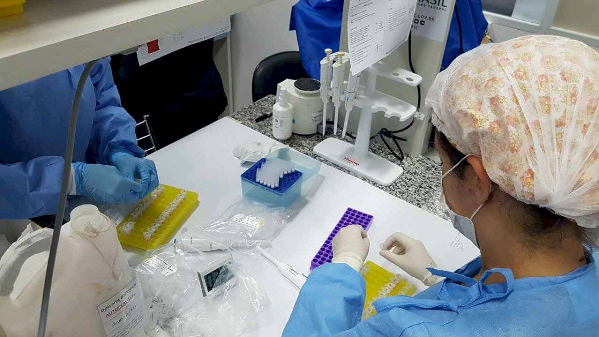 Vacina brasileira em estudo
