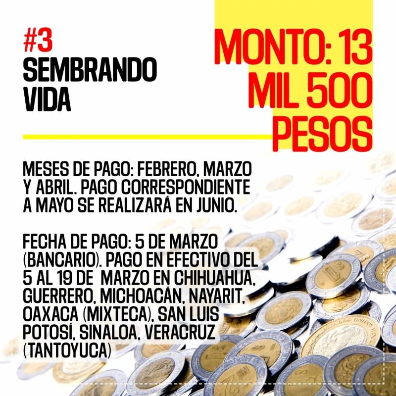 Cambios en los programas sociales