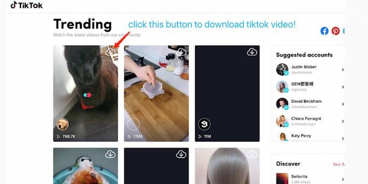Con esta extensión podrás descargar los vídeos de TikTok de forma automática