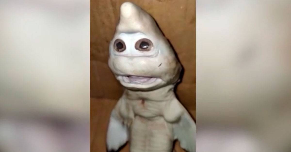 tubarão mutante