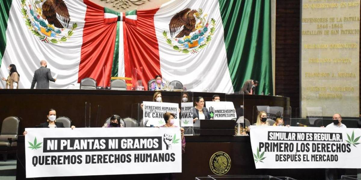 Diputados aprueban el uso lúdico de la marihuana