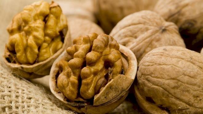 nueces660x550-9ef77044eb601013a69a0d82668a93e8.jpg