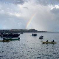 FOTOS y VIDEOS: Amanece protesta por servicios, pero ahora en Vieques