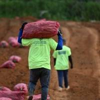 El dilema agrícola y la carrera por cosechar soluciones
