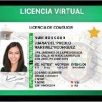 Extienden periodo para renovar licencias de conducir