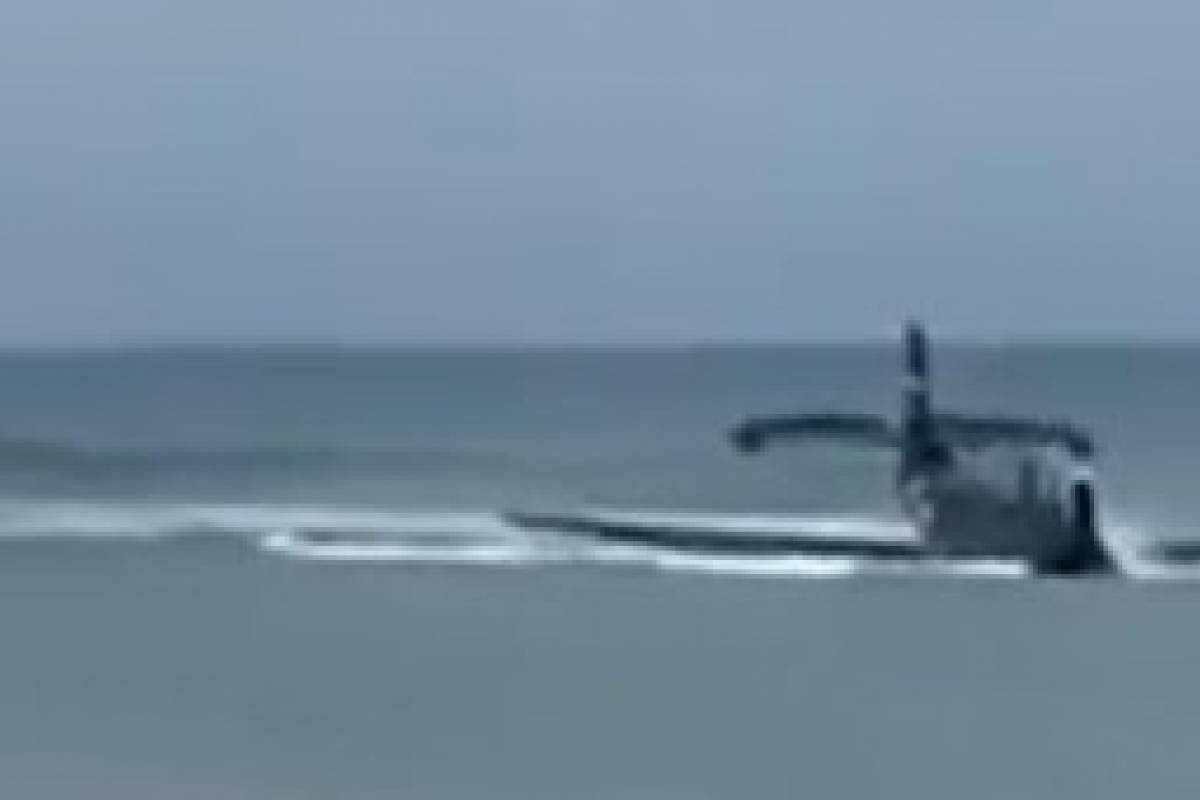 Pelicula De Avion Que Aterriza En El Agua