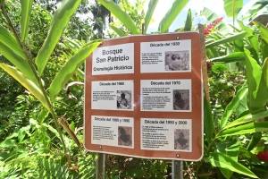 Bosque de San Patricio