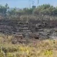 Continúa fuego en finca de Camuy