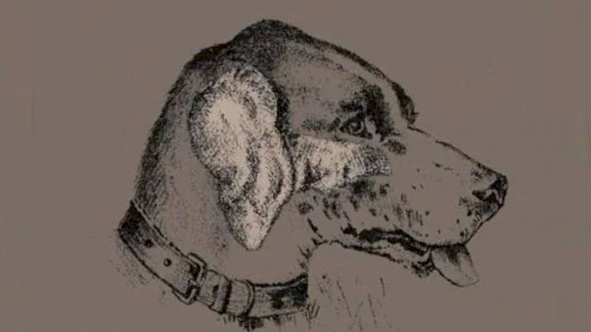 capturadepantall-bd7b526c8e162f520d544c12e0bc3fc1.jpg