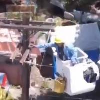 Rescatan a gatito que estaba en poste de luz en Toa Alta