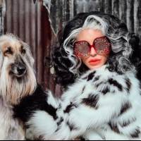 Miss Gala se transforma en "Cruella" y presenta nueva colección de gafas inspiradas en la famosa villana