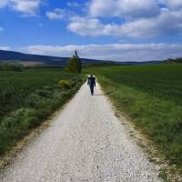 Peregrinos vuelven al Camino de Santiago tras restricciones