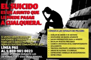 lineapasal180098-f9b47f7e874785a6a017ed1558e52675.jpg