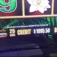 Mujer se pega con más de $57 mil la noche del día de Padres