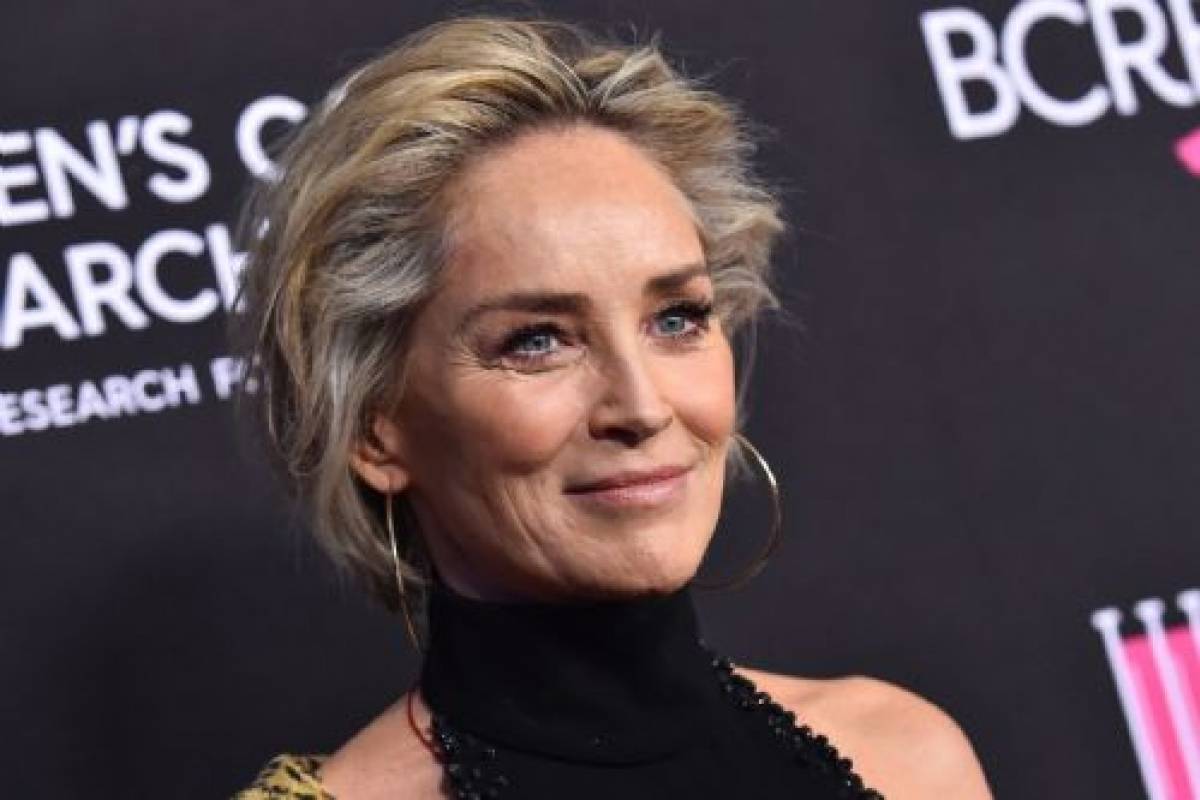 Sharon Stone arremete en contra de Meryl Streep: "Yo soy mejor - Vimarsana News