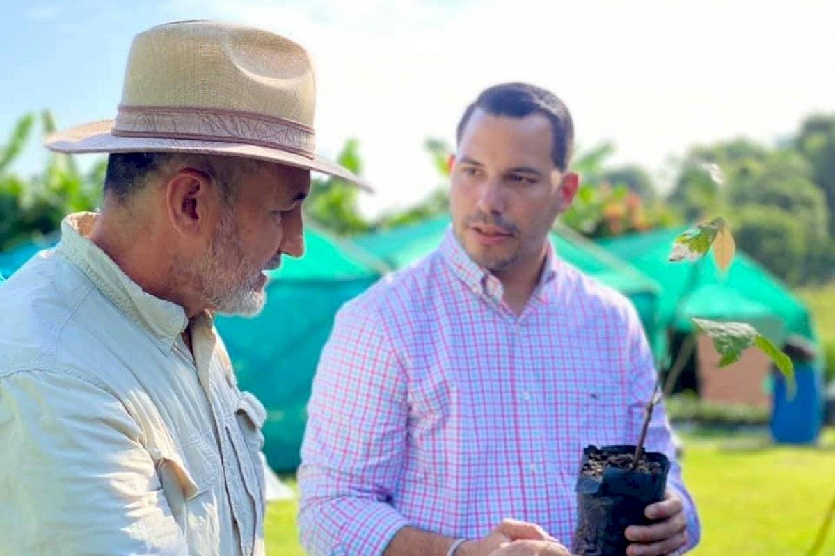 Aguada entrega más de 4,000 árboles de cacao a agricultores - Vimarsana News