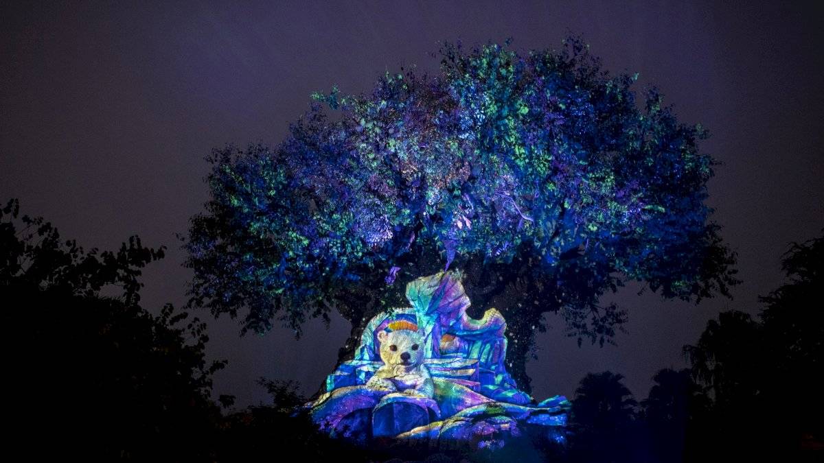 Disney