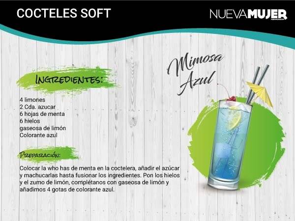 mimosaazul-653cddc7a3e55724d399417f59dfe139.jpg