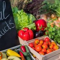 Wyndham Palmas Beach Resort celebra el primer Palmas Farmers Market