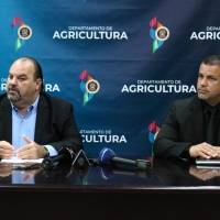 Agricultura pagará la mitad de los salarios de empleados agrícolas