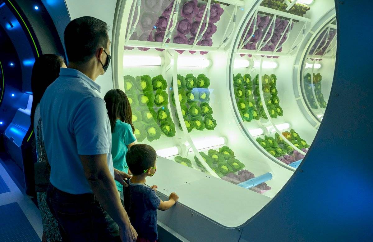 Space 220